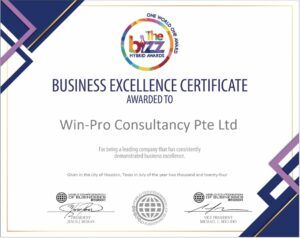 The Bizz Hybrid Awards - Business Excellence Certificate - Win-Pro 2024